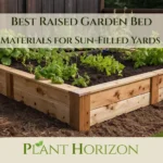 Best Raised Garden Bed Materials for Sun-Filled Yards