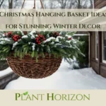 Christmas Hanging Basket Ideas for Stunning Winter Decor