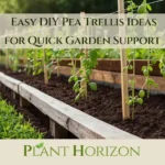 Easy DIY Pea Trellis Ideas for Quick Garden Support