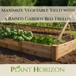 Maximize Vegetable Yield with a Raised Garden Bed Trellis