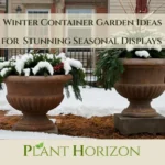 Winter Container Garden Ideas for Stunning Seasonal Displays