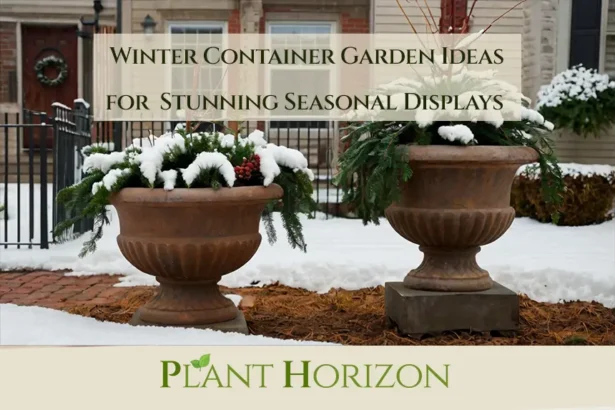 Winter Container Garden Ideas for Stunning Seasonal Displays