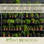 Guide to Buying Healthy Plants Tips for Long-Lasting Greens