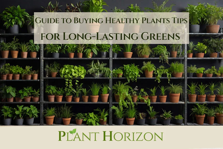Guide to Buying Healthy Plants Tips for Long-Lasting Greens