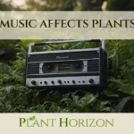 music affects plants